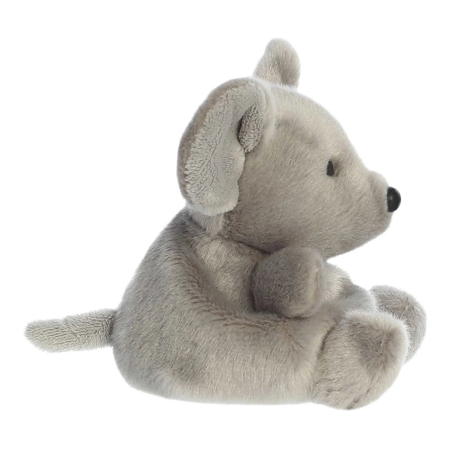 Chatty Mouse