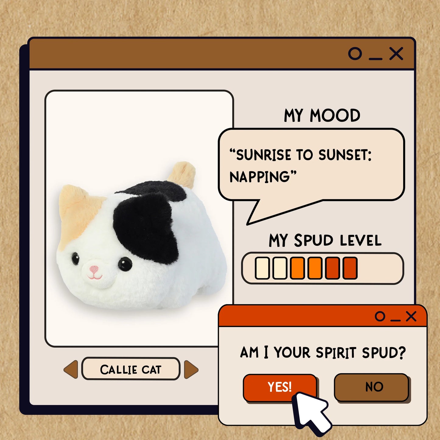 Callie Cat