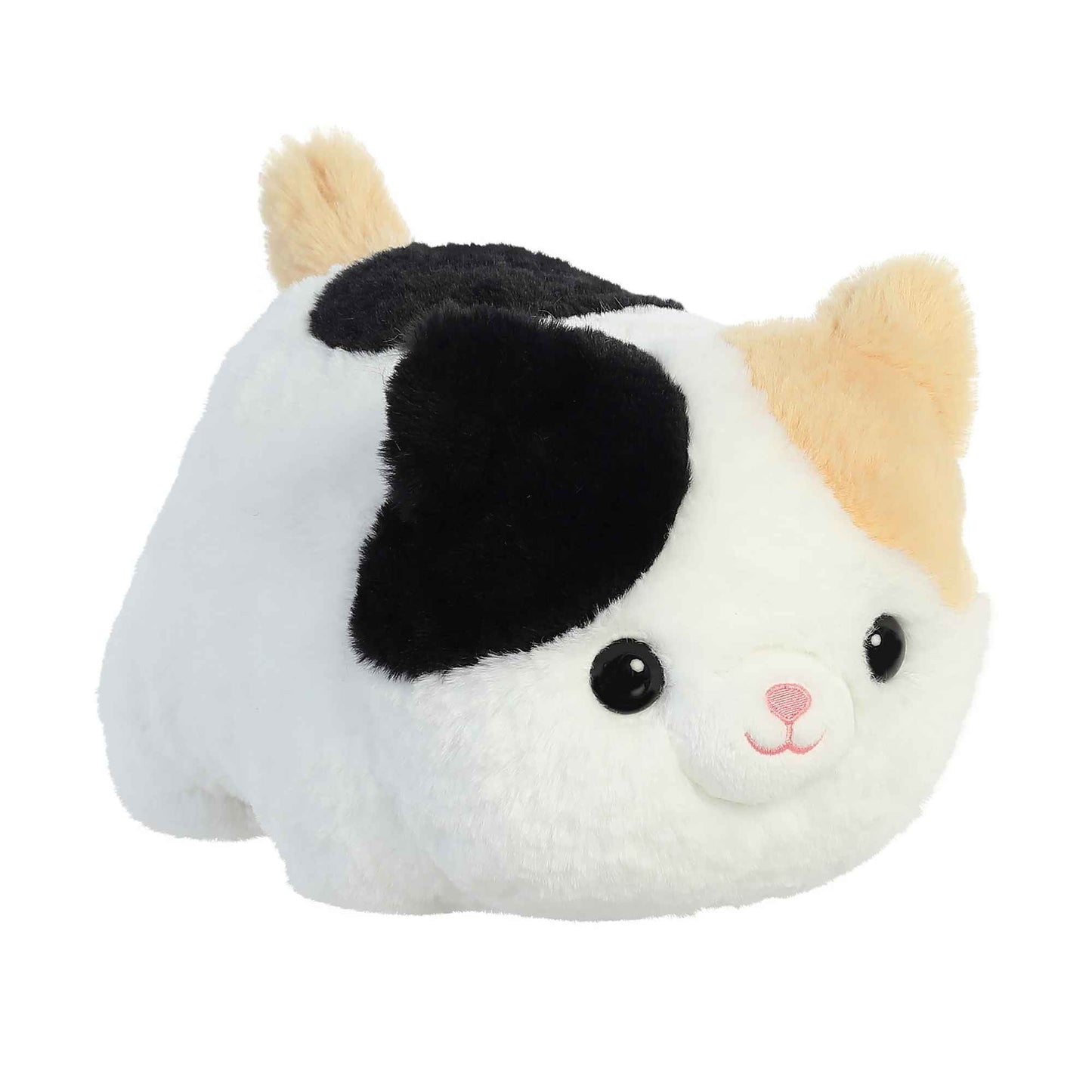 Callie Cat