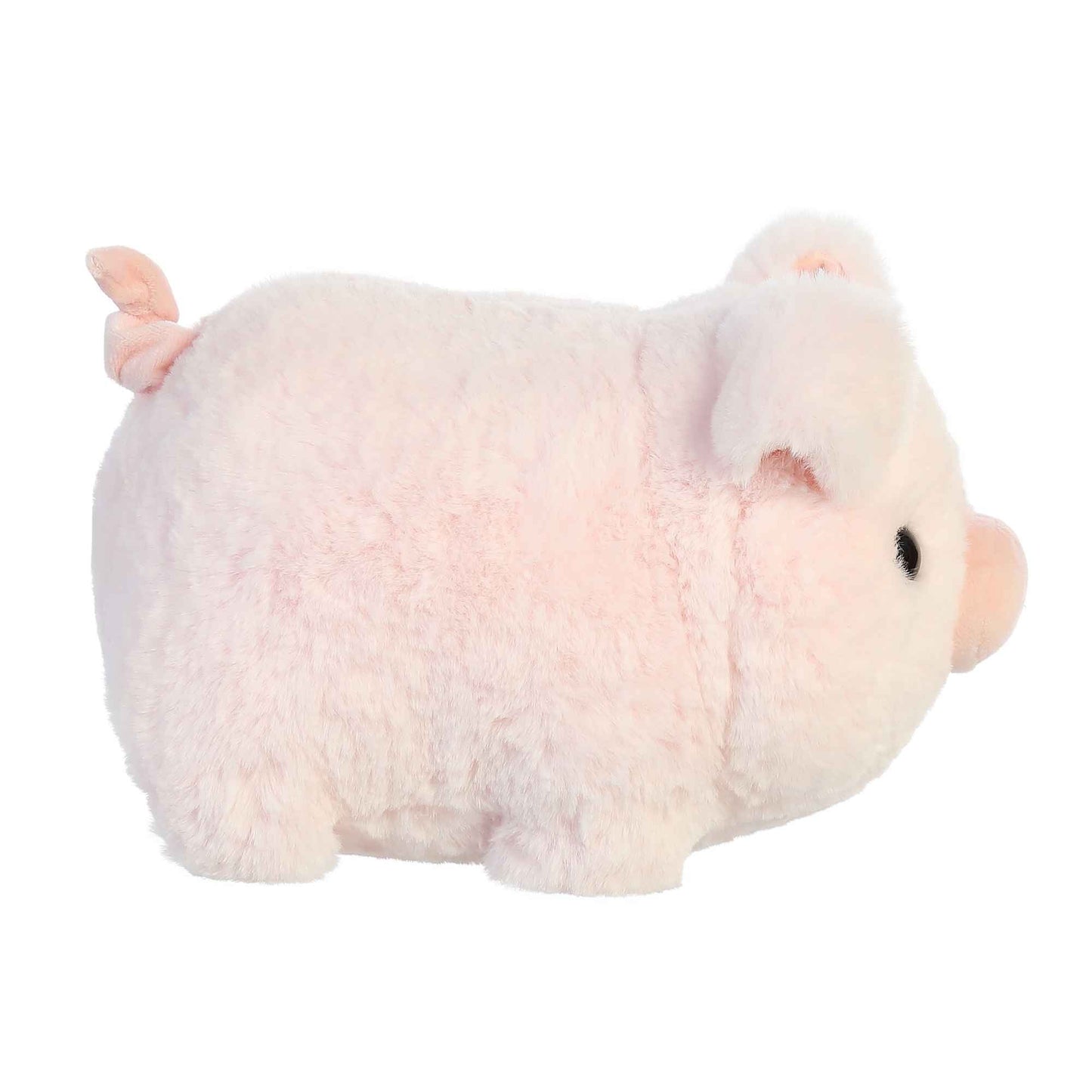 Cutie Pig