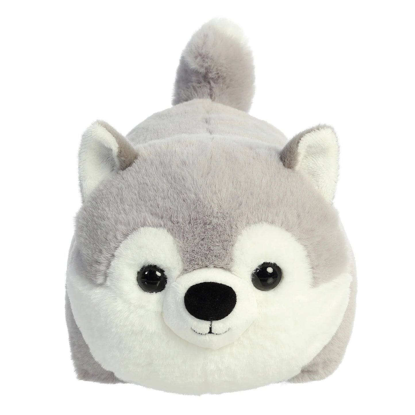 Haze Husky