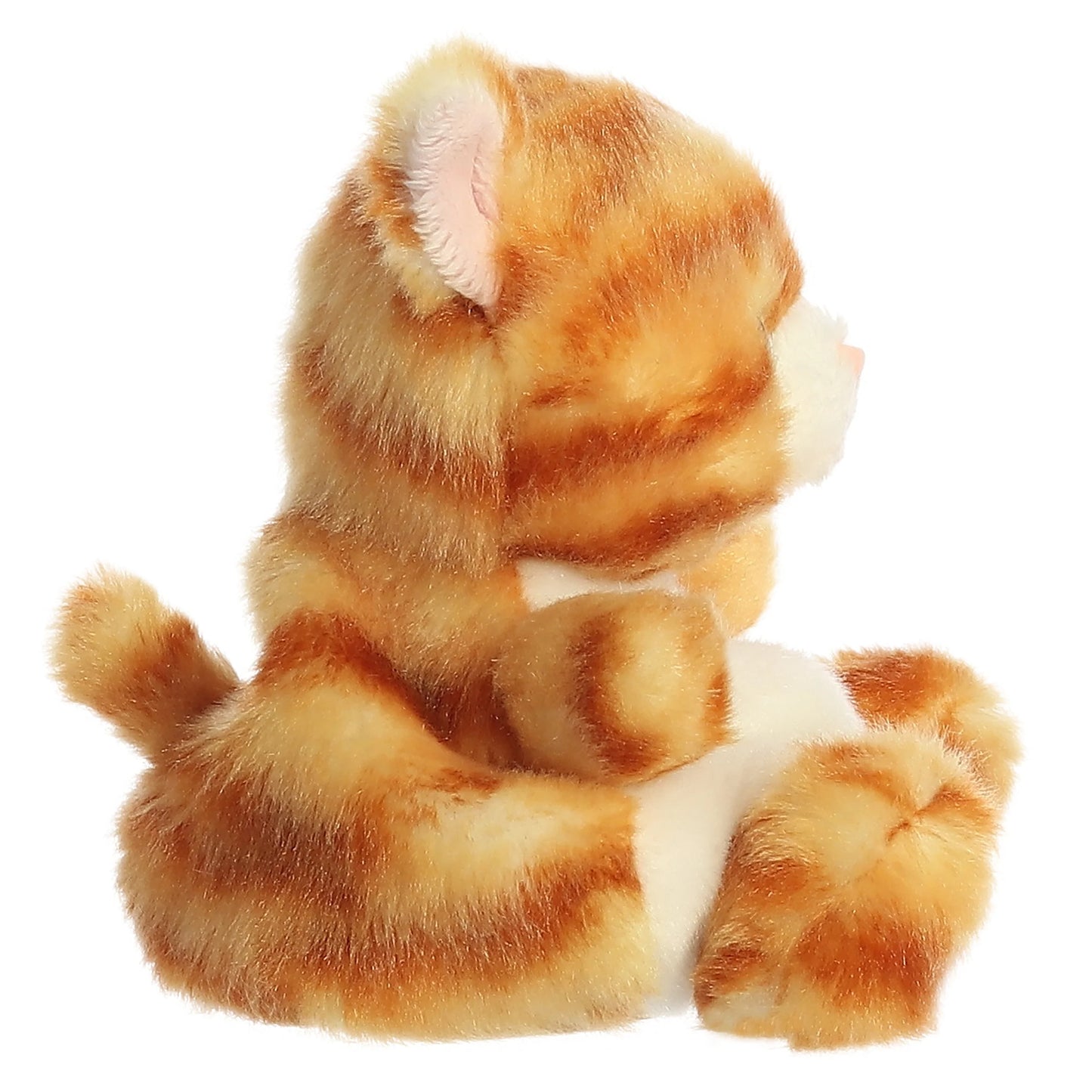 Meow Kitty
