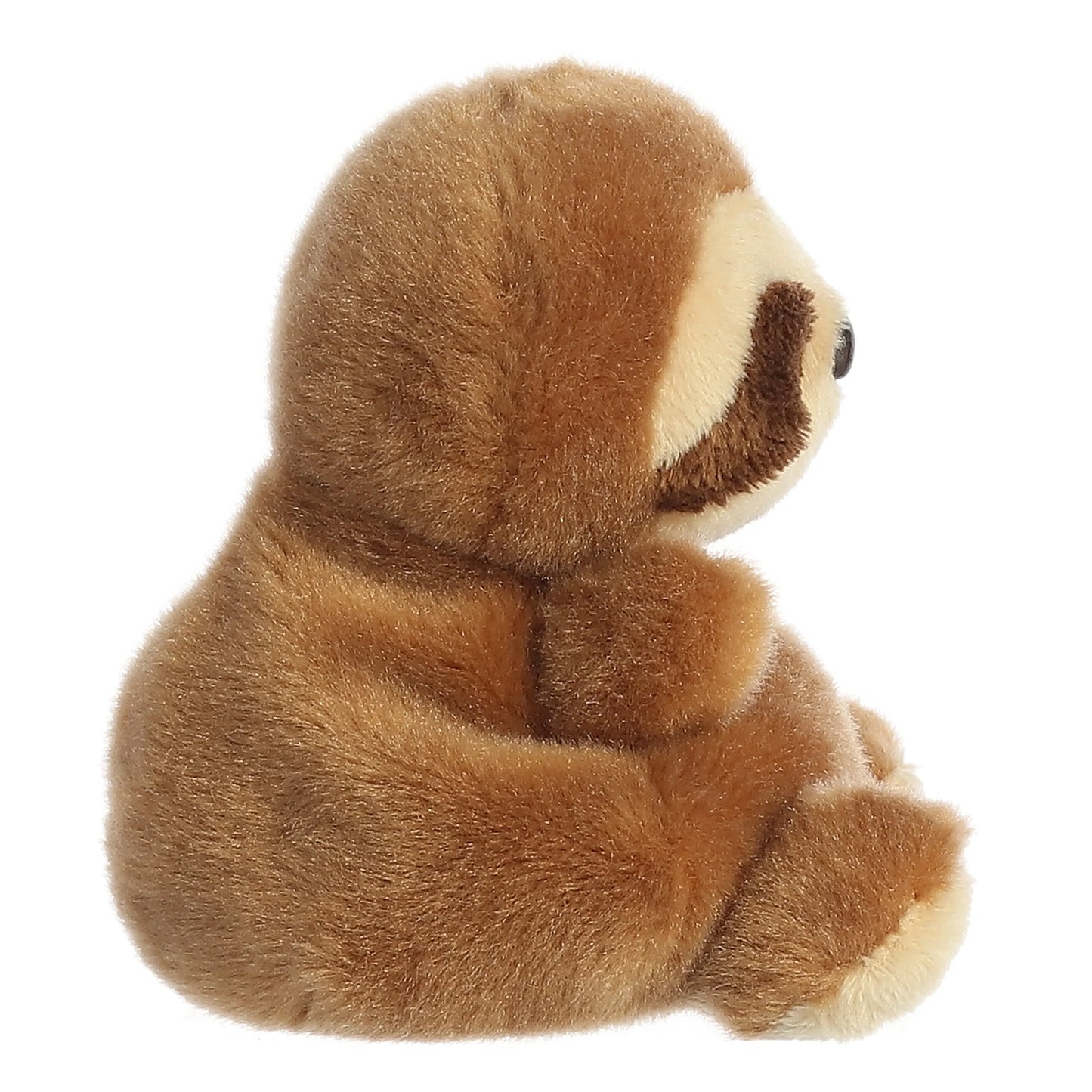 Slomo Sloth