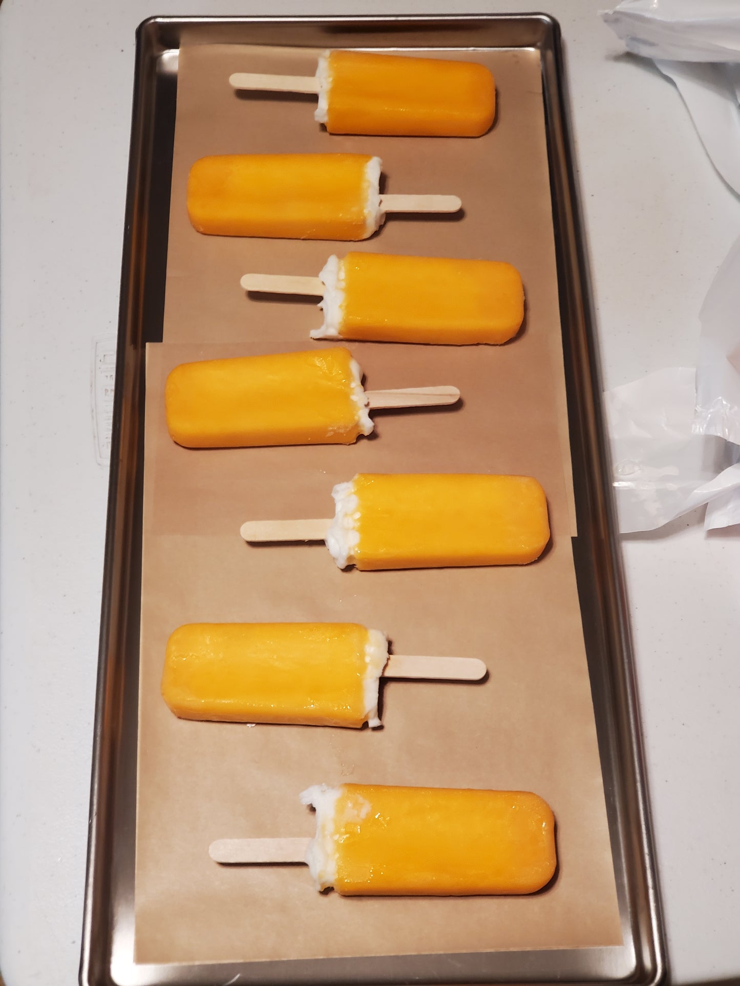 Freeze Dried Icecream bars