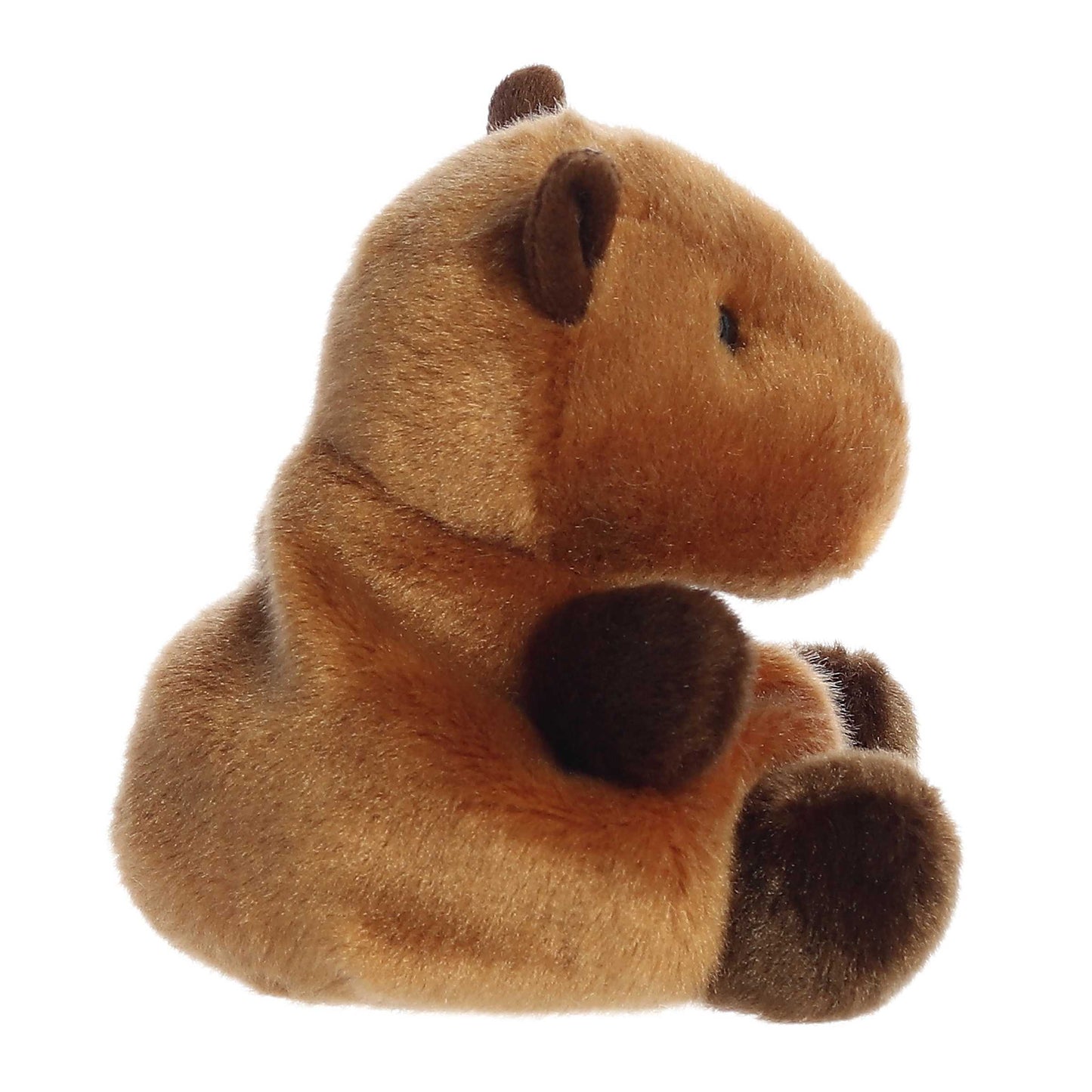 Sid Capybara
