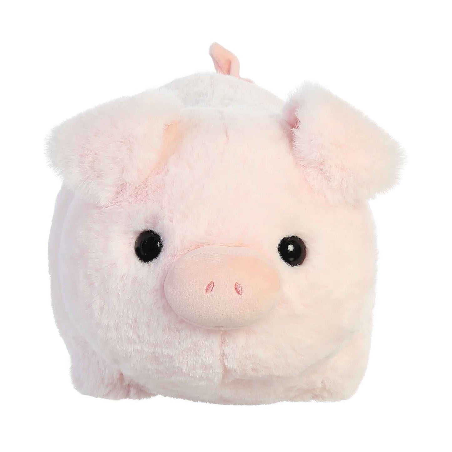 Cutie Pig